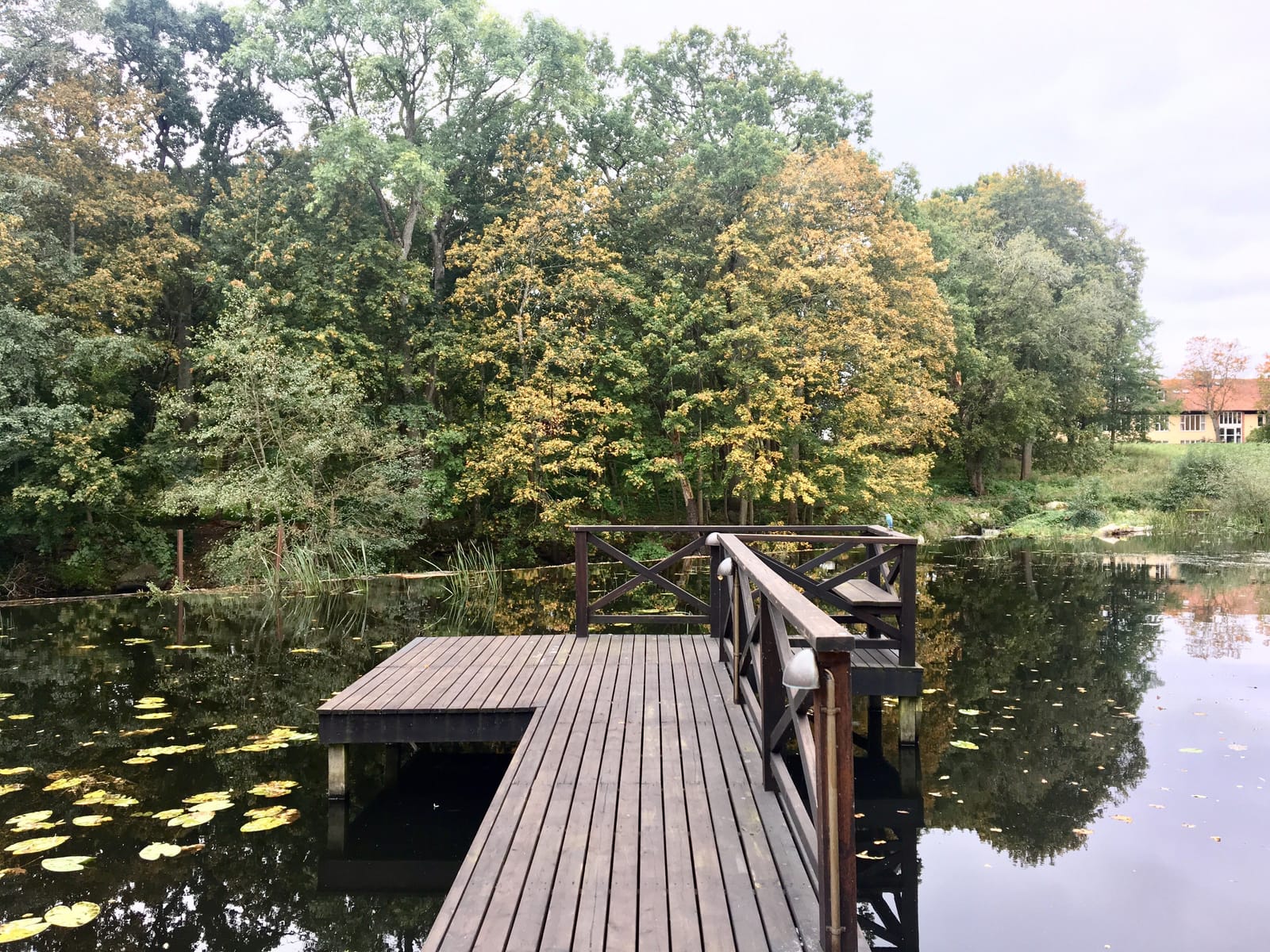 3 rok · 70 m² i Tollarp – bild 15