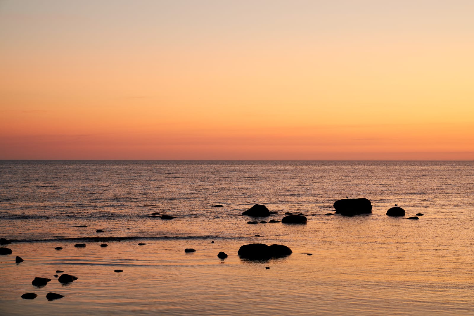 2 rok · 35 m² i Visby – bild 16