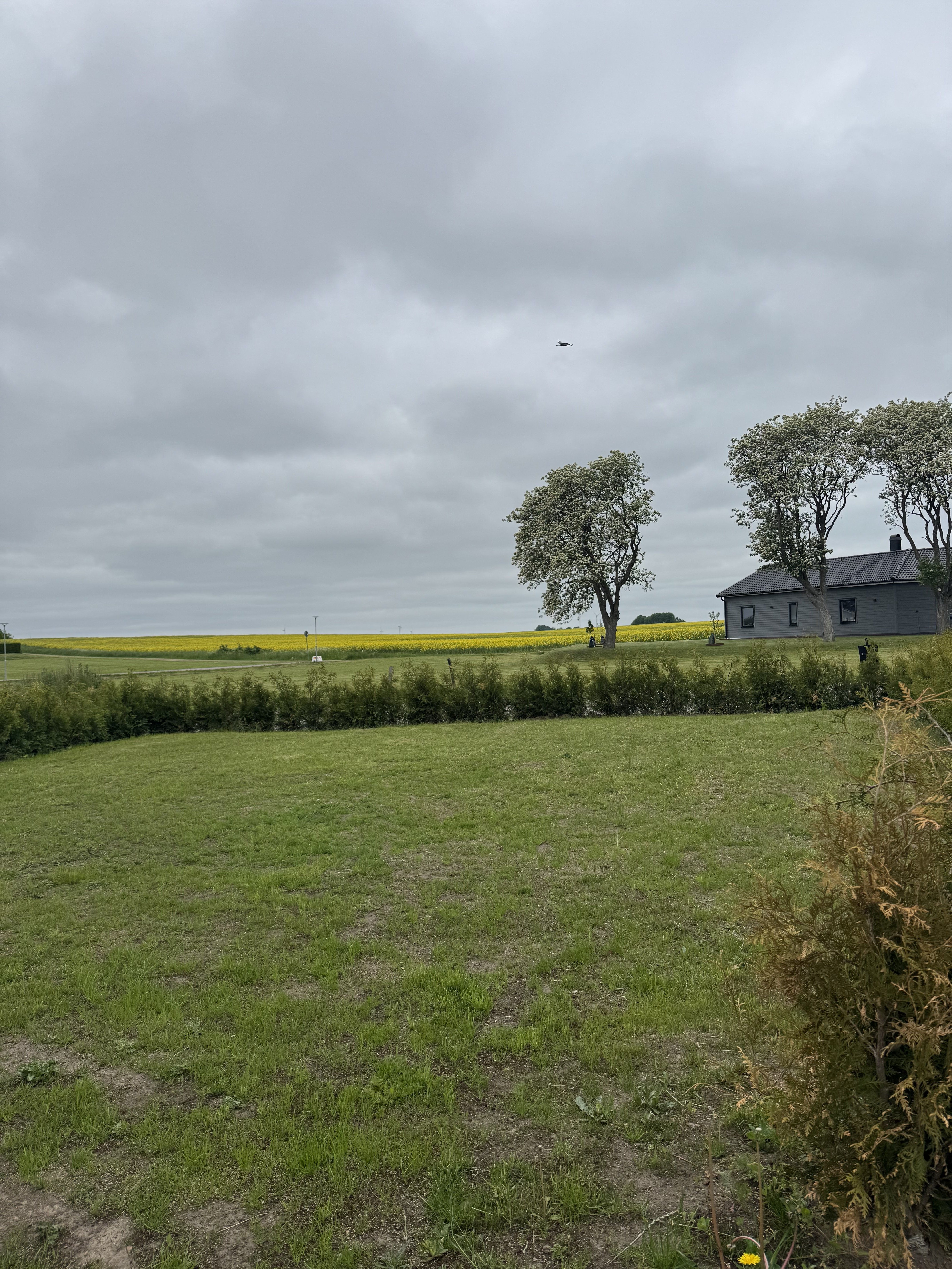 Duplex, 5 rooms, 130 sqm, Svalöv – bild 2