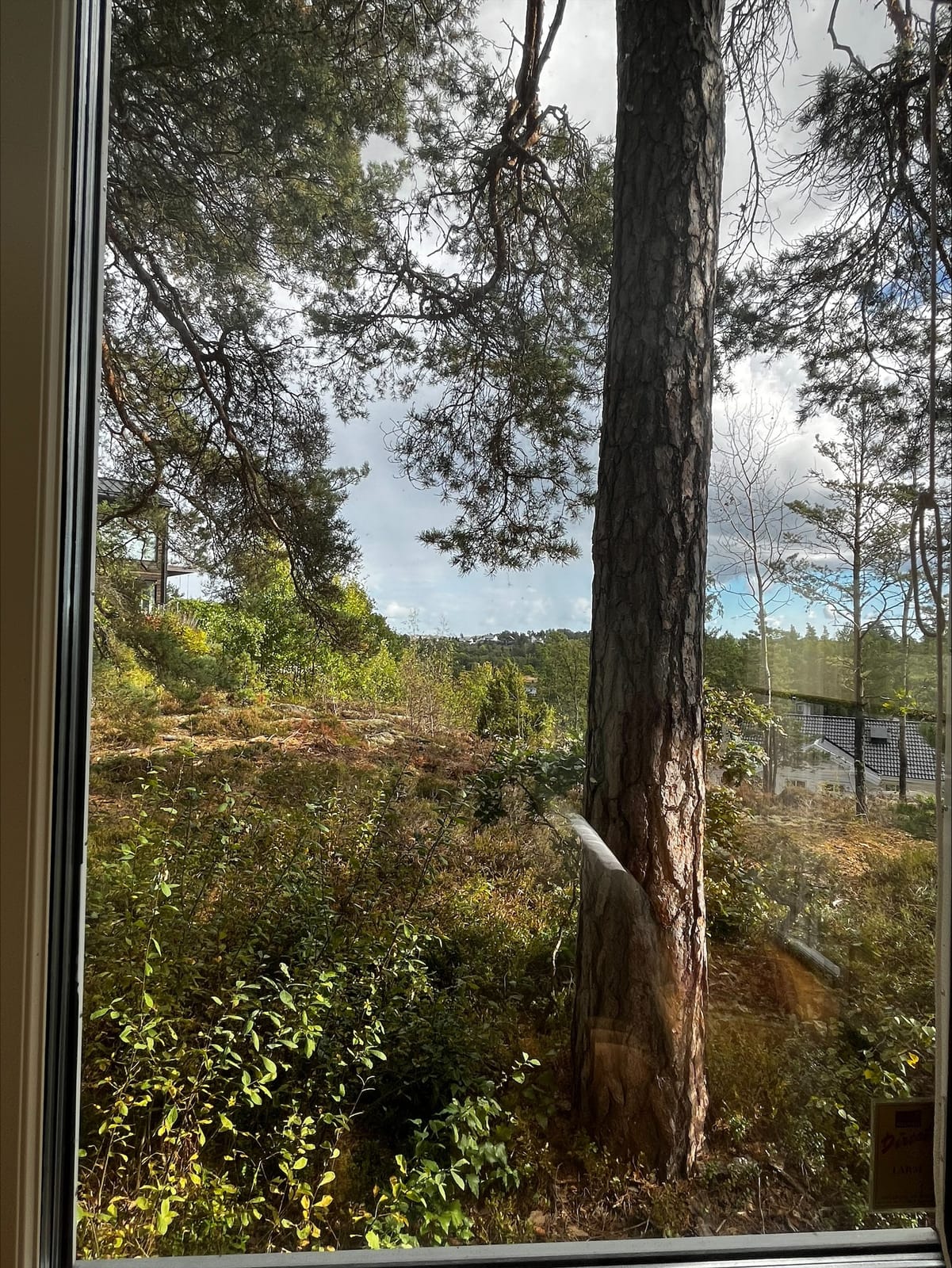 4 rok · 60 m² i Värmdö – bild 4
