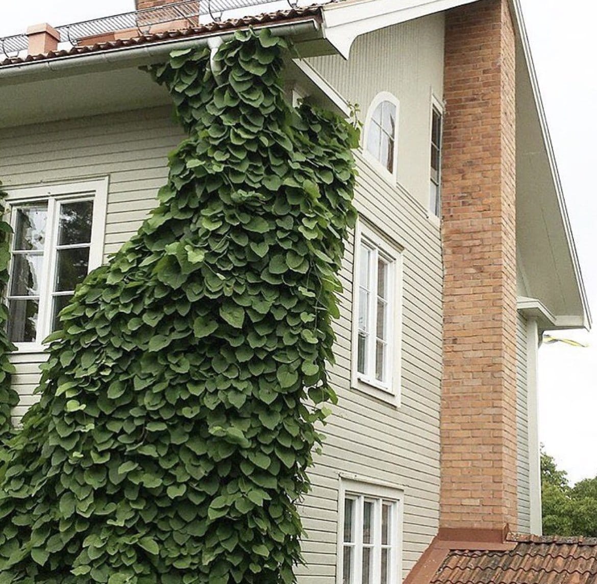 7 rok · 280 m² i Björbo – bild 5