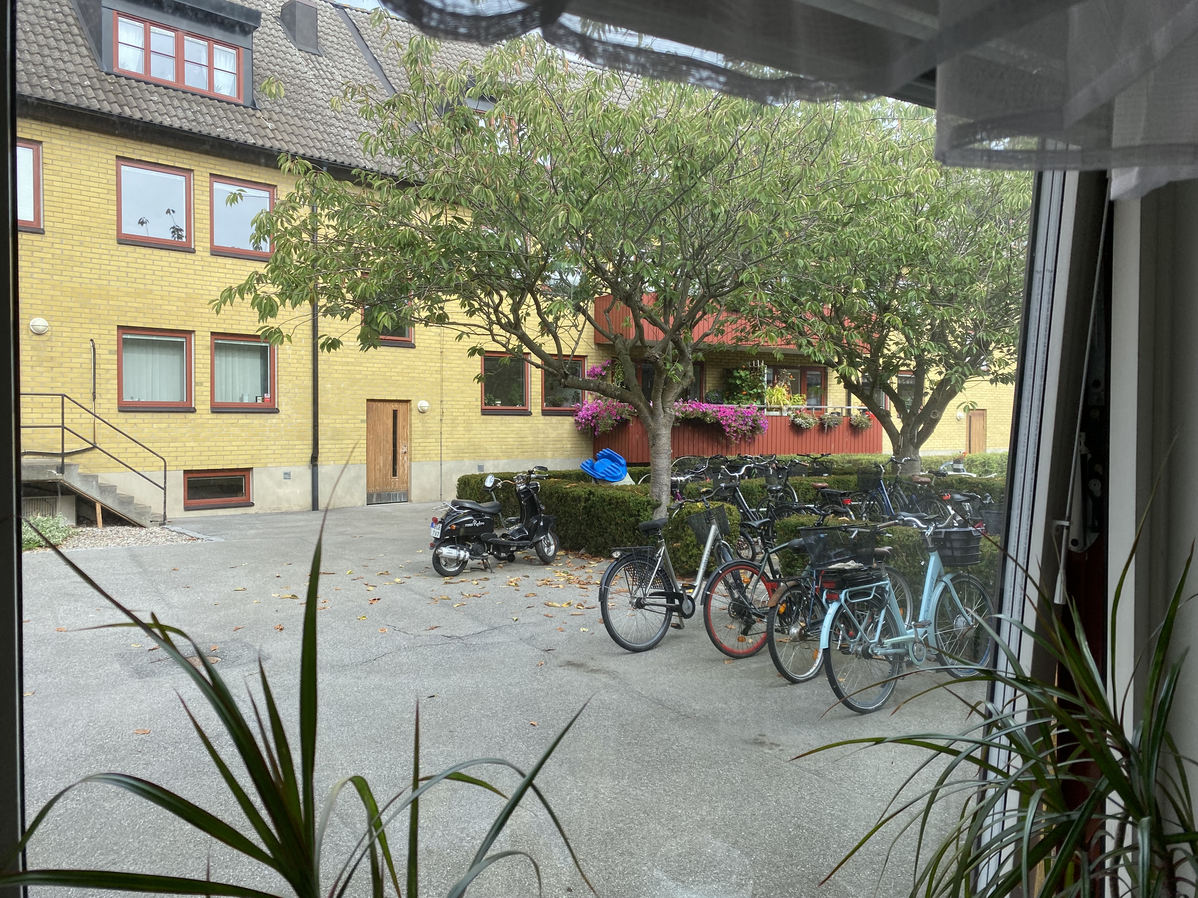 Radhus, 1 rooms, 12 sqm, Ystad – bild 5
