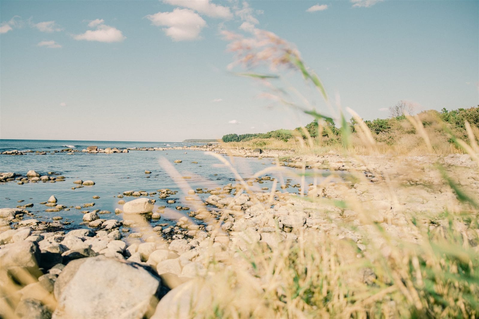 4 rok · 50 m² i Visby – bild 15