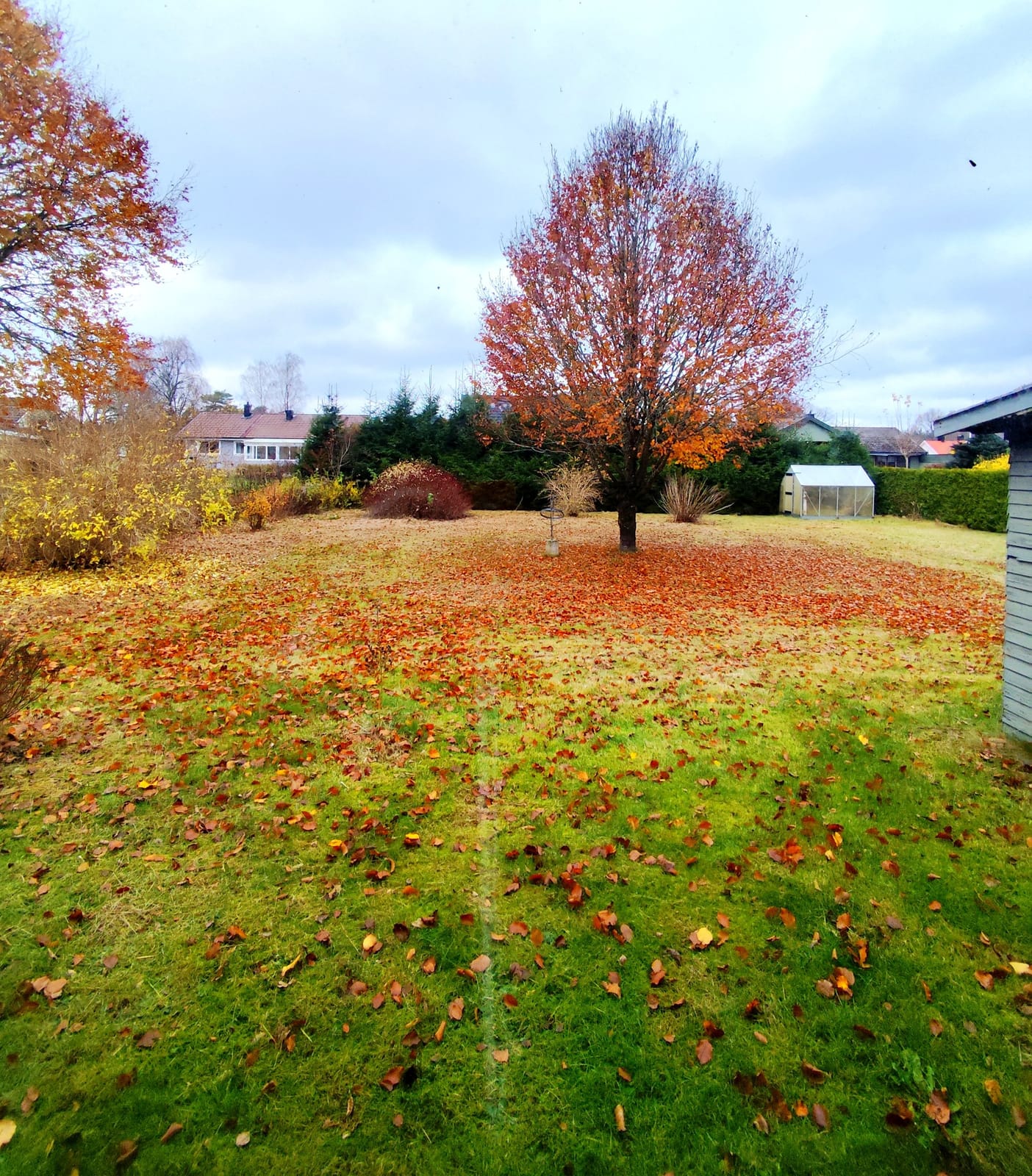 6 rok · 99 m² i Värnamo – bild 11