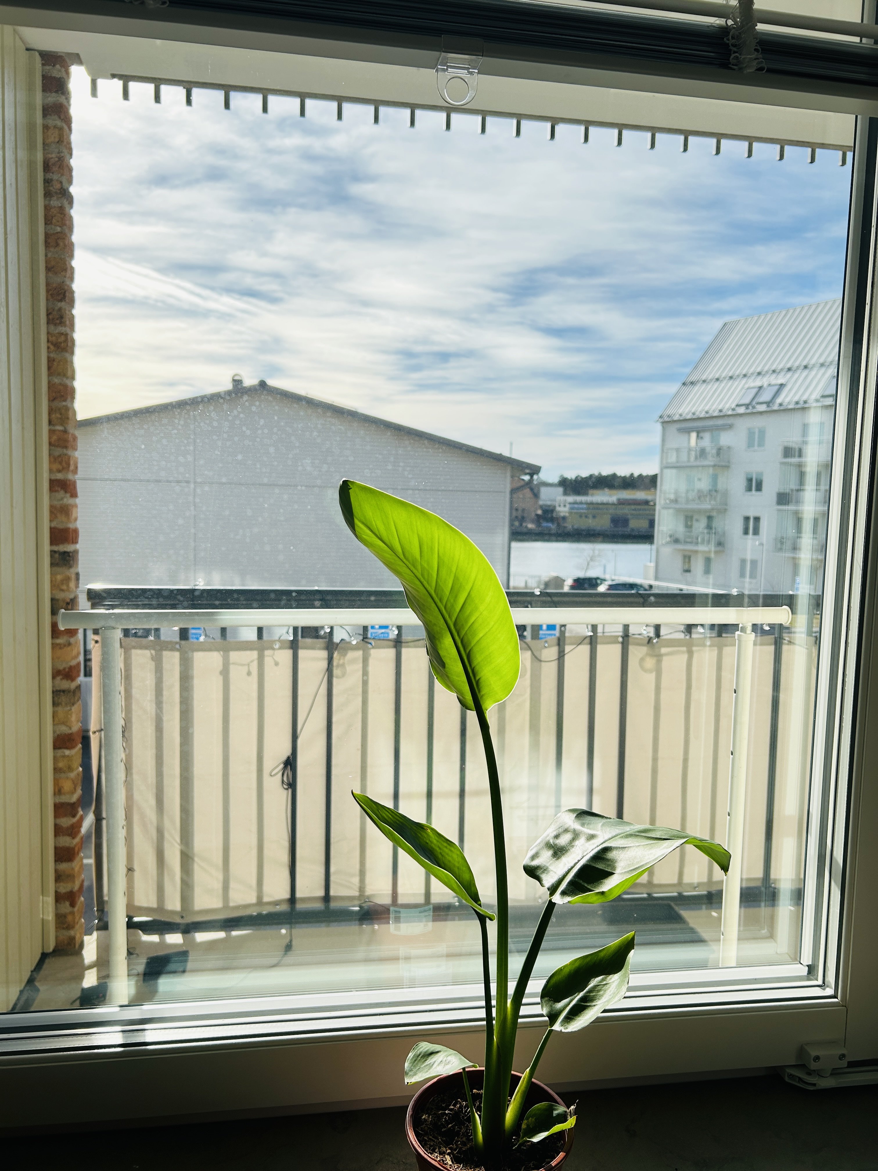 Lägenhet, 3 rooms, 65 sqm, Södertälje – bild 2