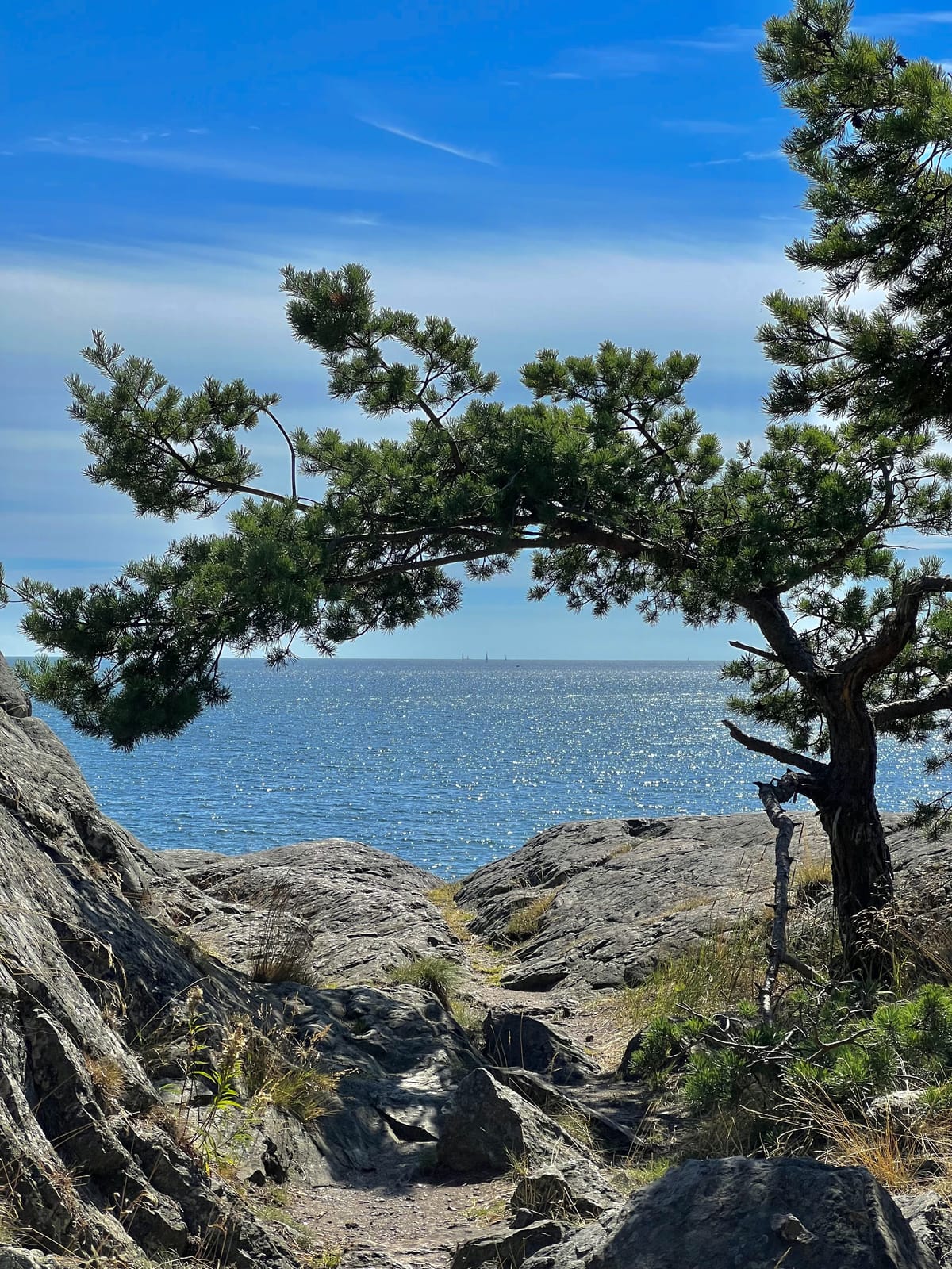 2 rok · 42 m² i Nynäshamn – bild 11