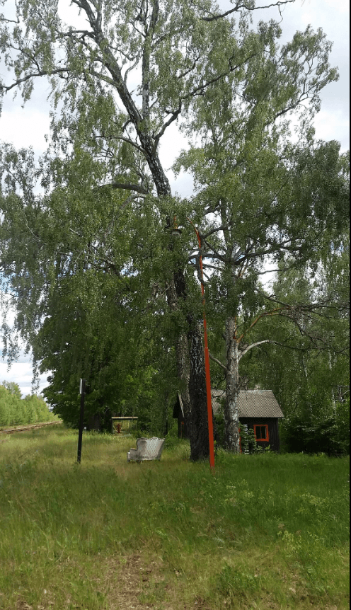 5 rok · 150 m² i Mariannelund – bild 38