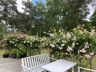 4 rok · 100 m² i Höllviken – bild 6