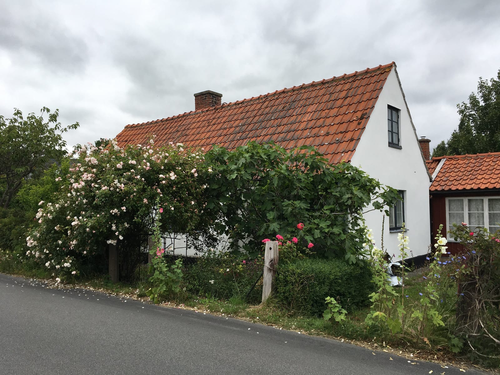 4 rok · 95 m² i Brantevik