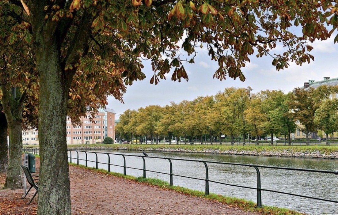 Lägenhet, 5 rooms, 131 sqm, Malmö – bild 17