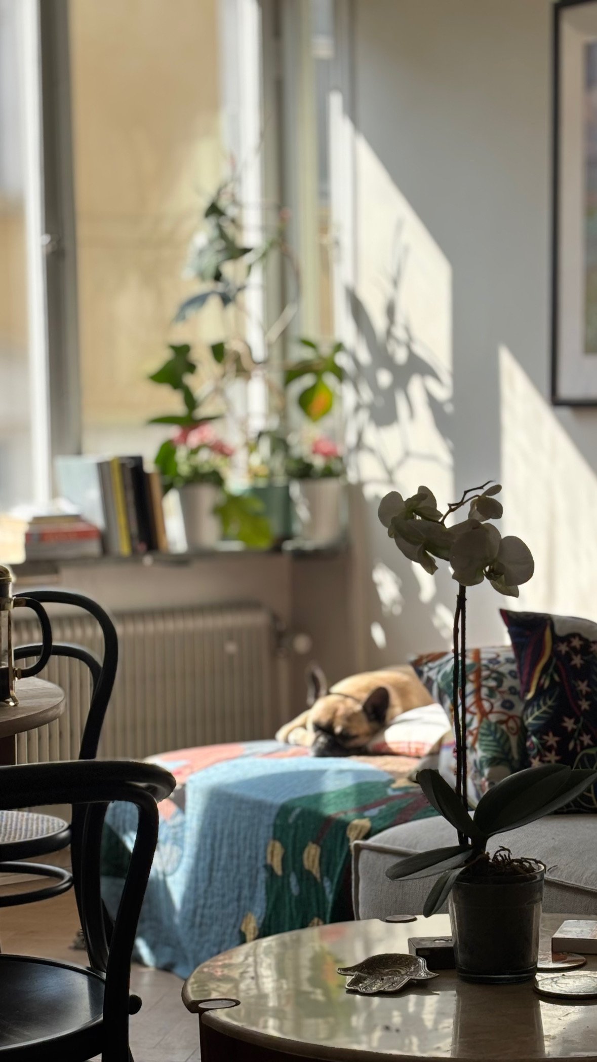 Lägenhet, 2 rooms, 34 sqm, Stockholm