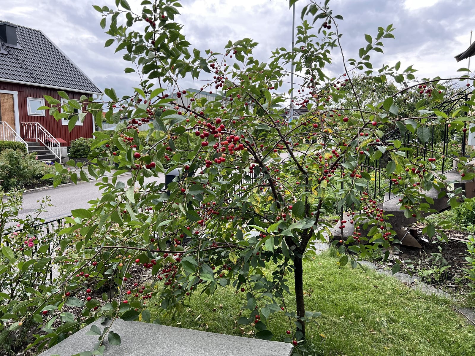 6 rok · 150 m² i Mölndal – bild 7
