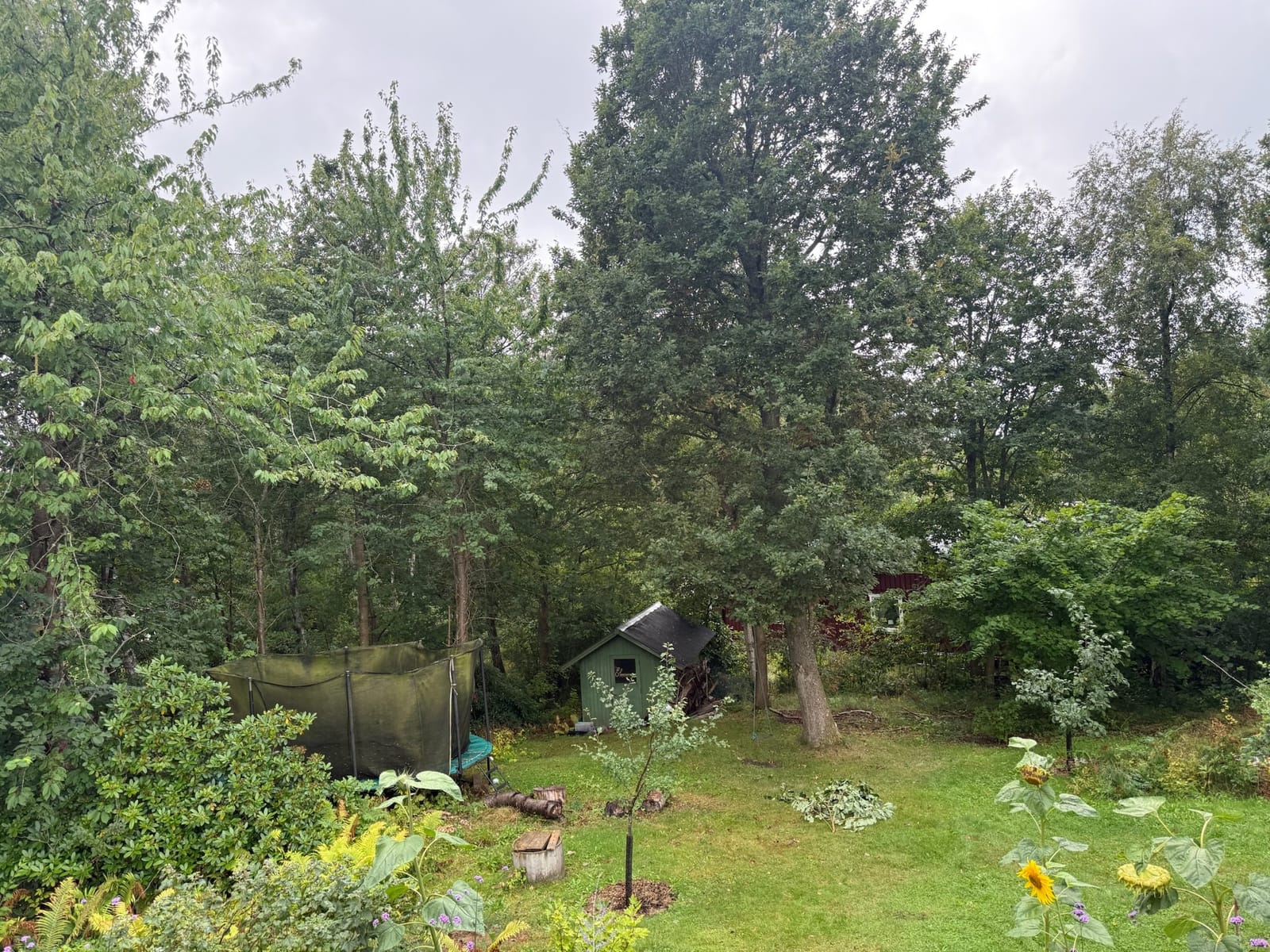 4 rok · 100 m² i Ugglarp – bild 18