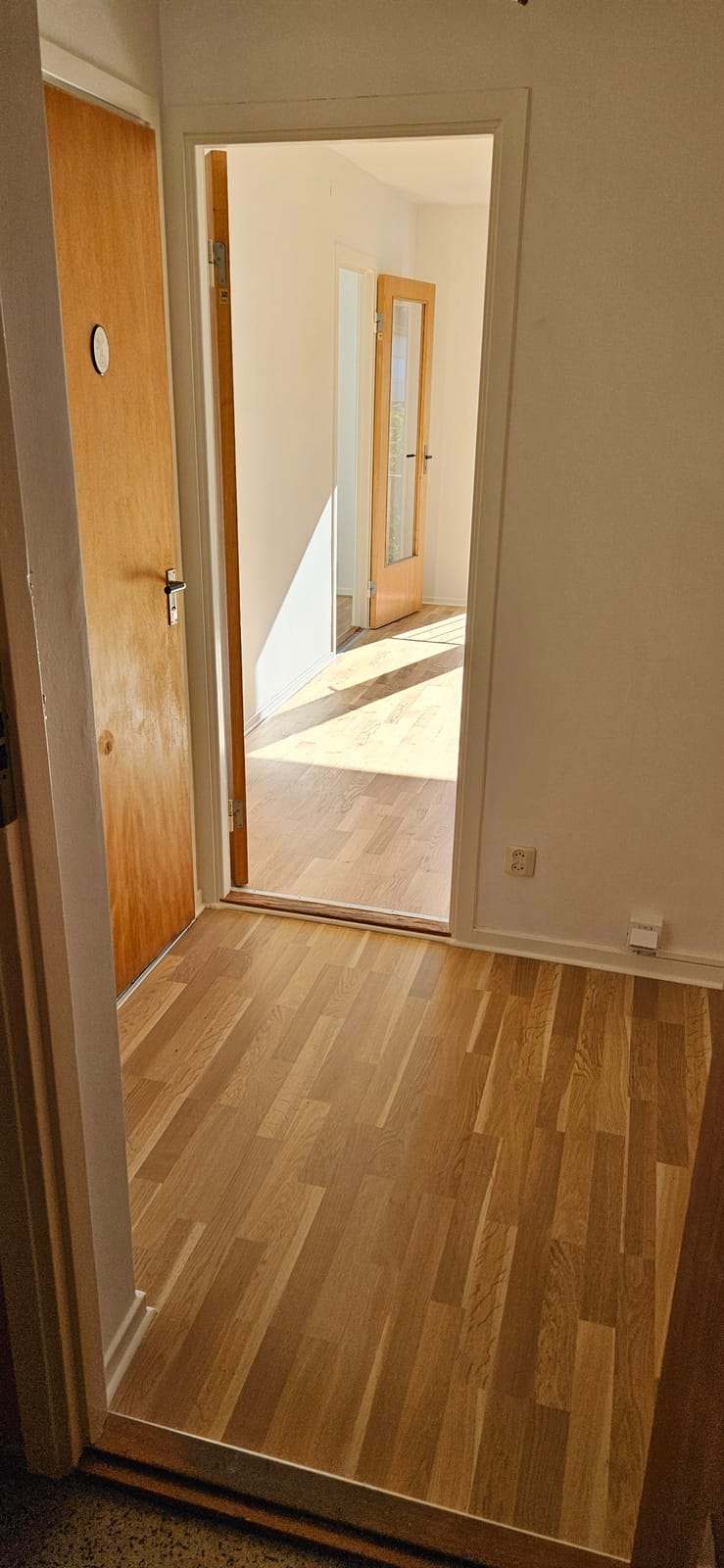 1 rok · 36 m² i Glimåkra – bild 3