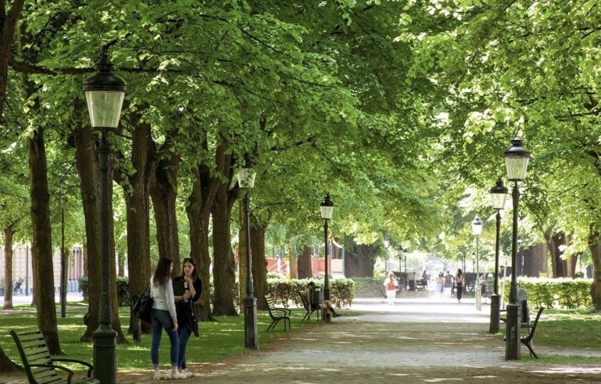 Lägenhet, 5 rooms, 131 sqm, Malmö – bild 15
