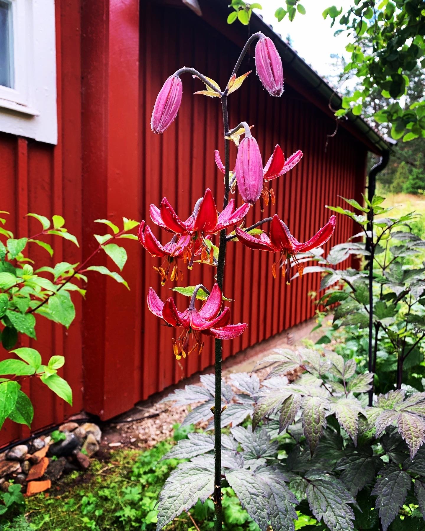 Villa/Hus, 2 rooms, 52 sqm, Ingarö – bild 20