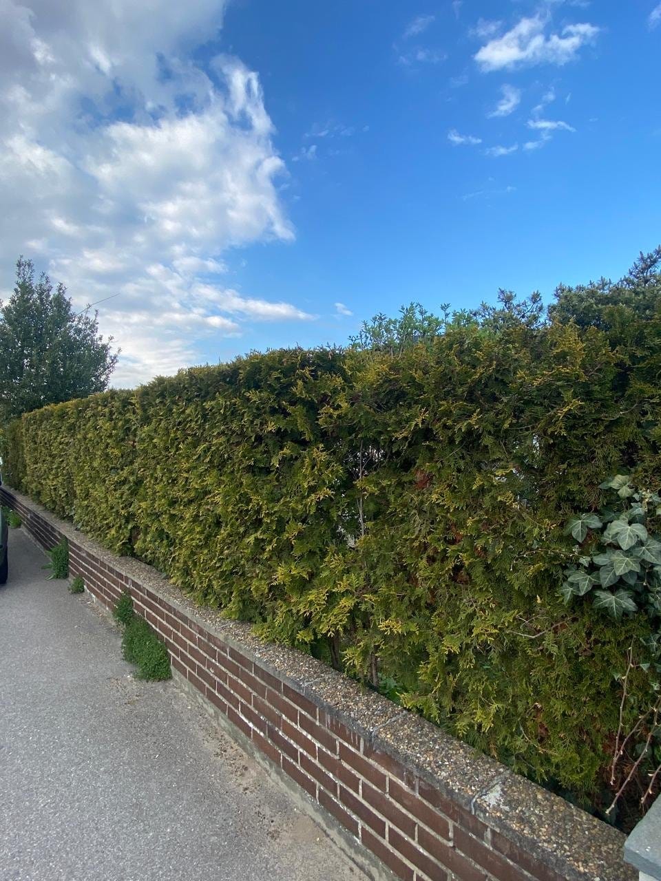 4 rok · 100 m² i Arlöv – bild 9