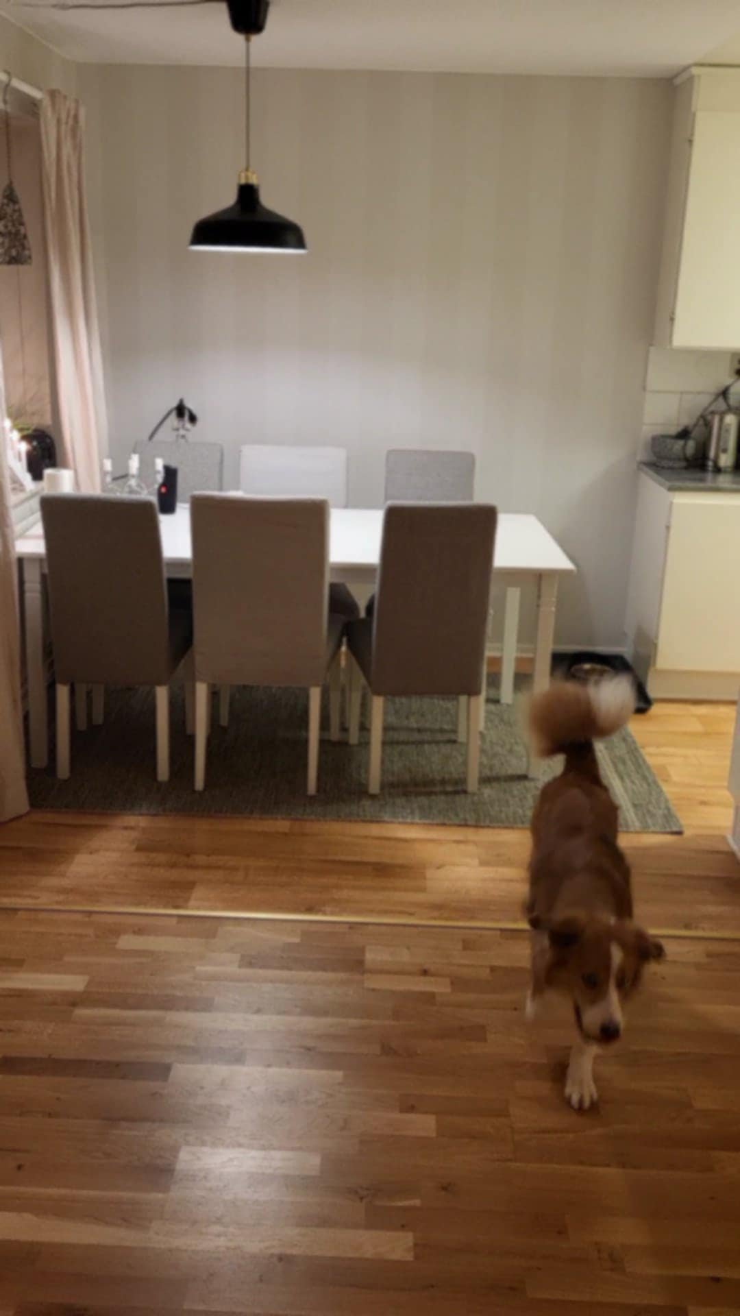 1 rok · 20 m² i Umeå – bild 6
