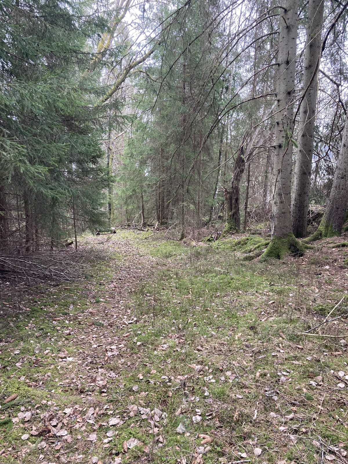 1 rok · 50 m² i Henån – bild 5