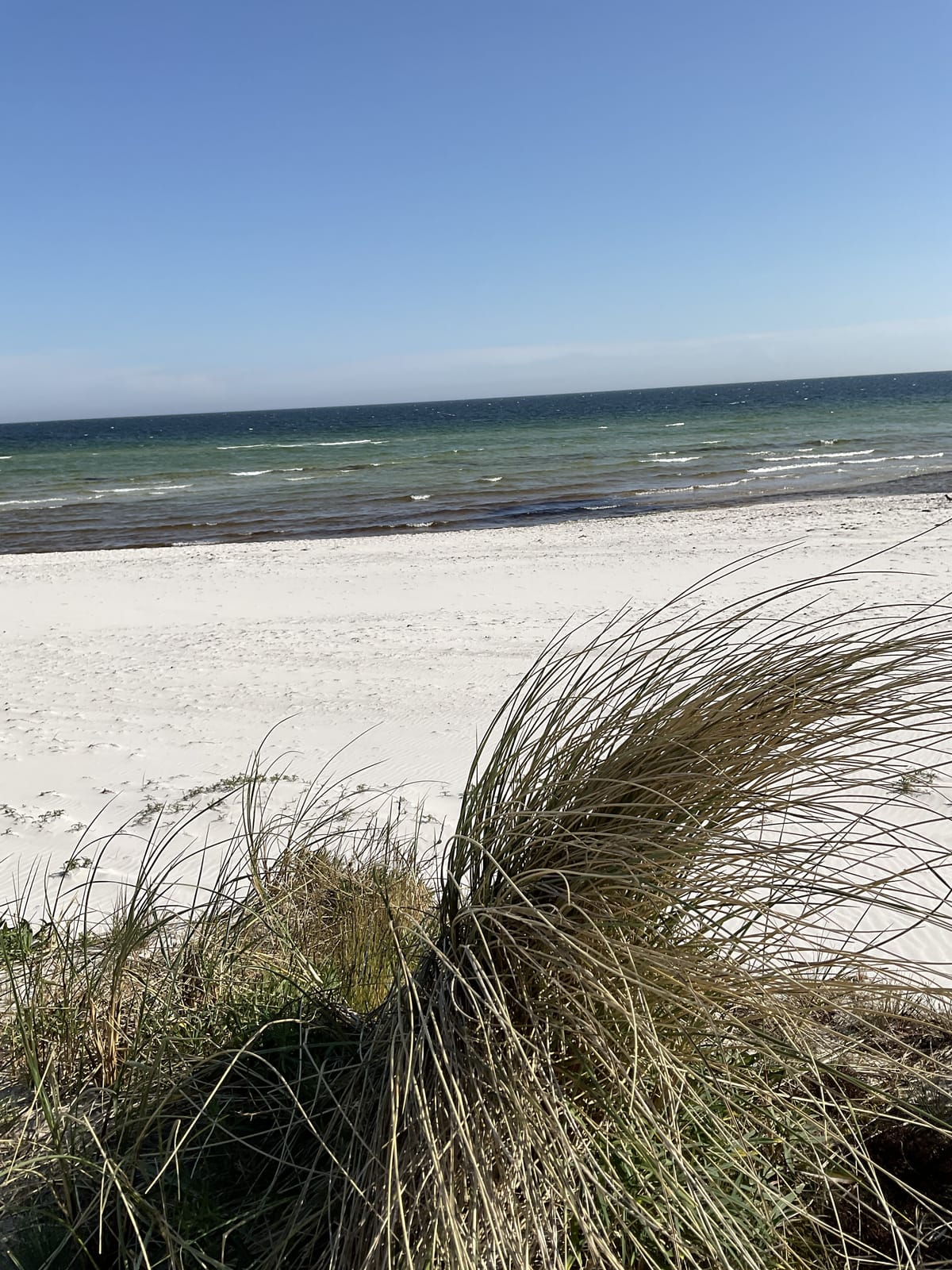 Stuga, 2 rooms, 55 sqm, Falsterbo