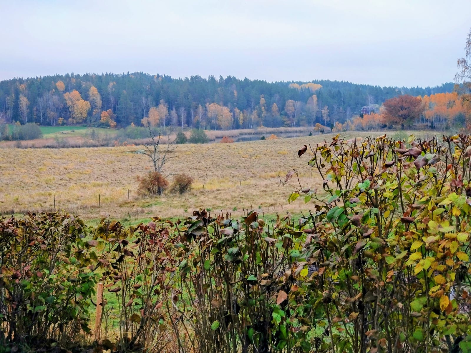2 rok · 47 m² i Björnlunda – bild 15
