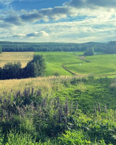 5 rok · 110 m² i Bjuråker – Bjuråker