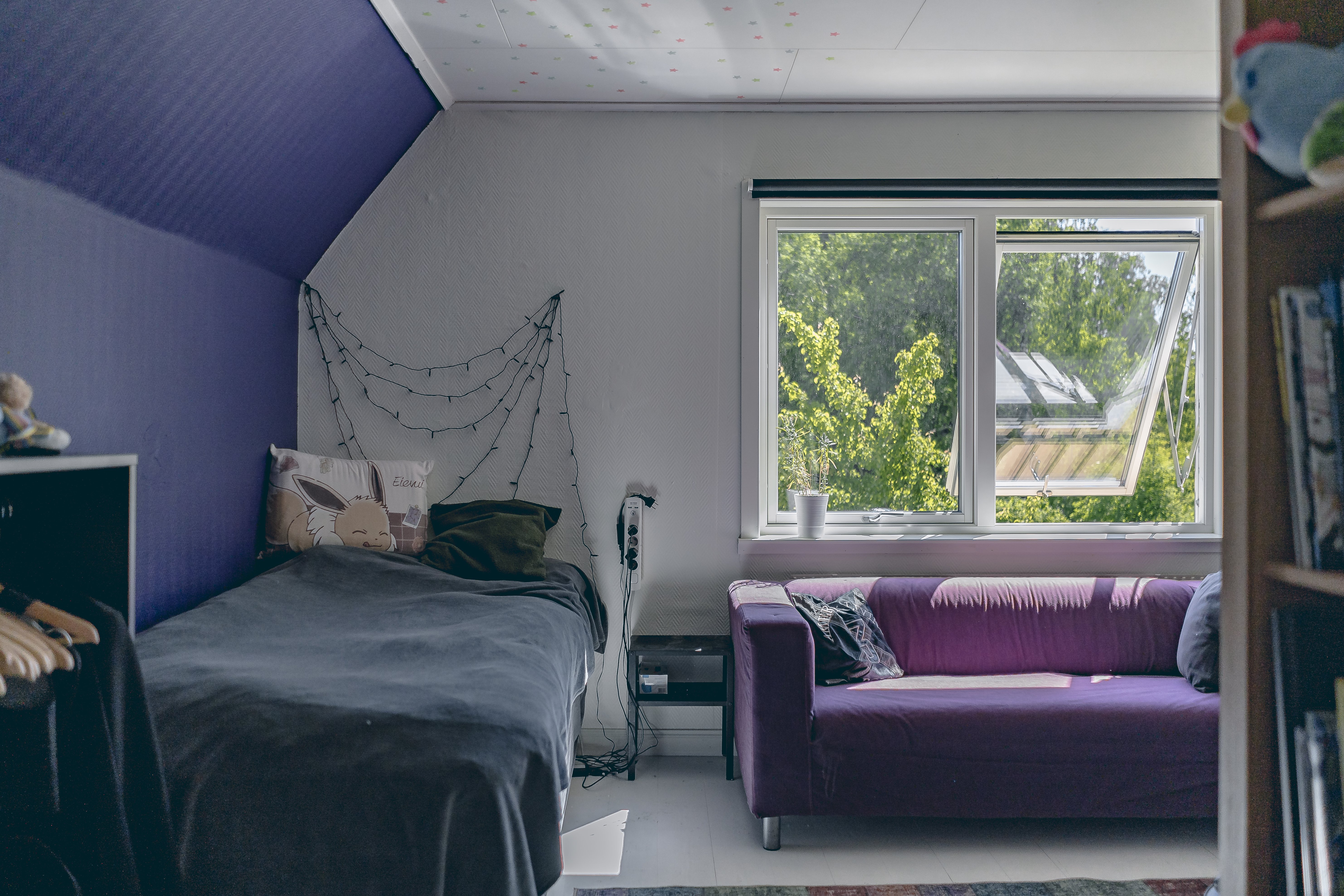 Villa/Hus, 11 rooms, 330 sqm, Skå – bild 39