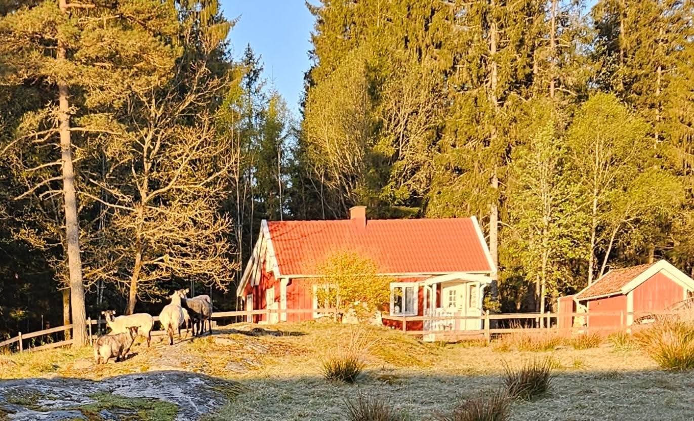 Stuga, 3 rooms, 55 sqm, Ljung