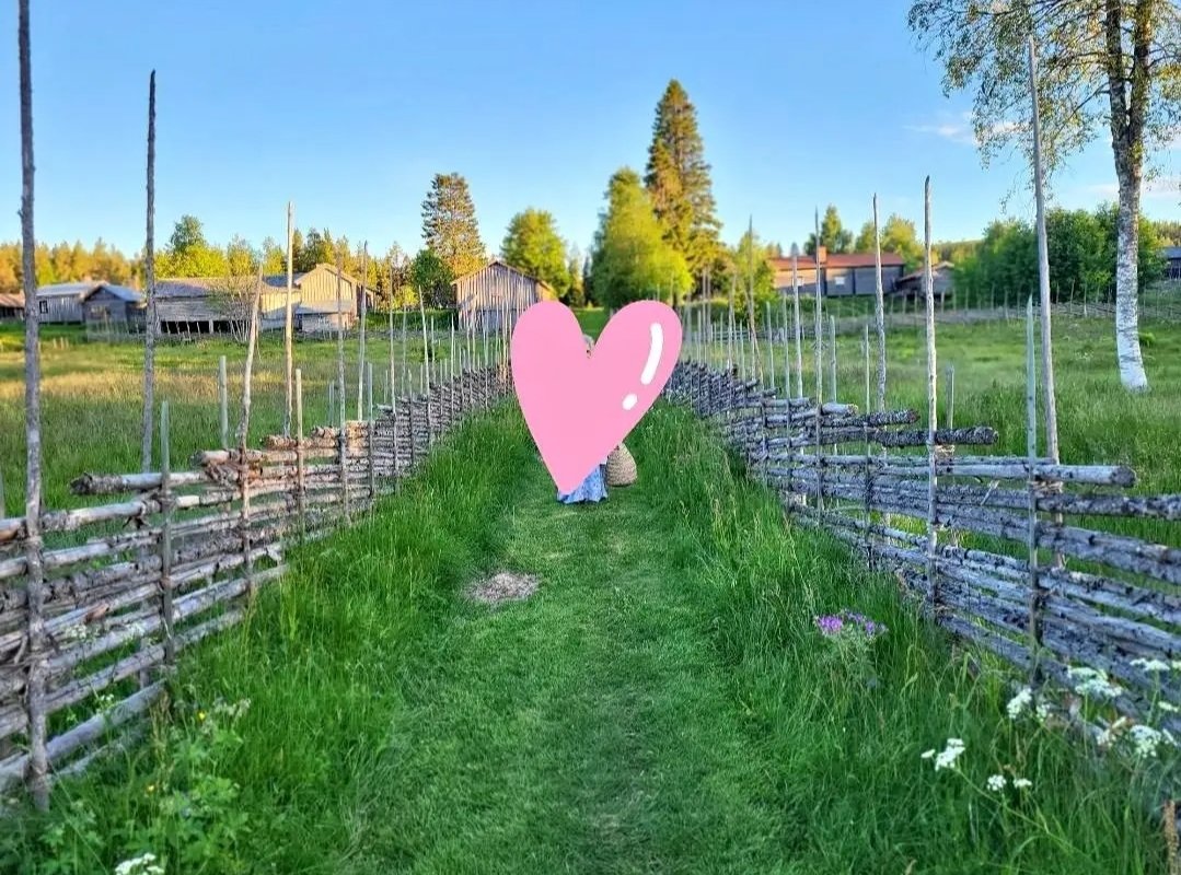 2 rok · 45 m² i Järvsö – bild 2