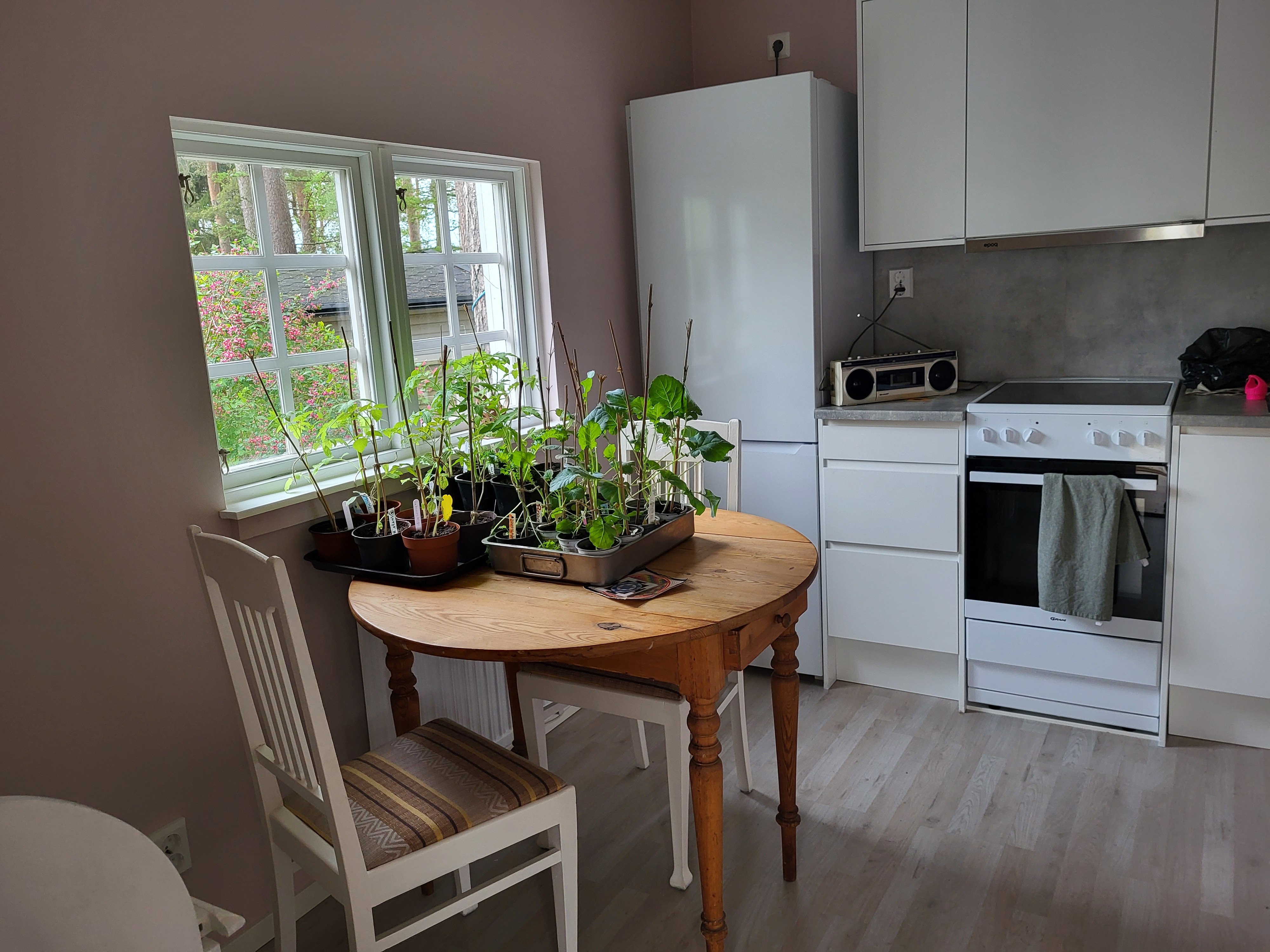 Stuga, 2 rooms, 30 sqm, Sjöbo – bild 7