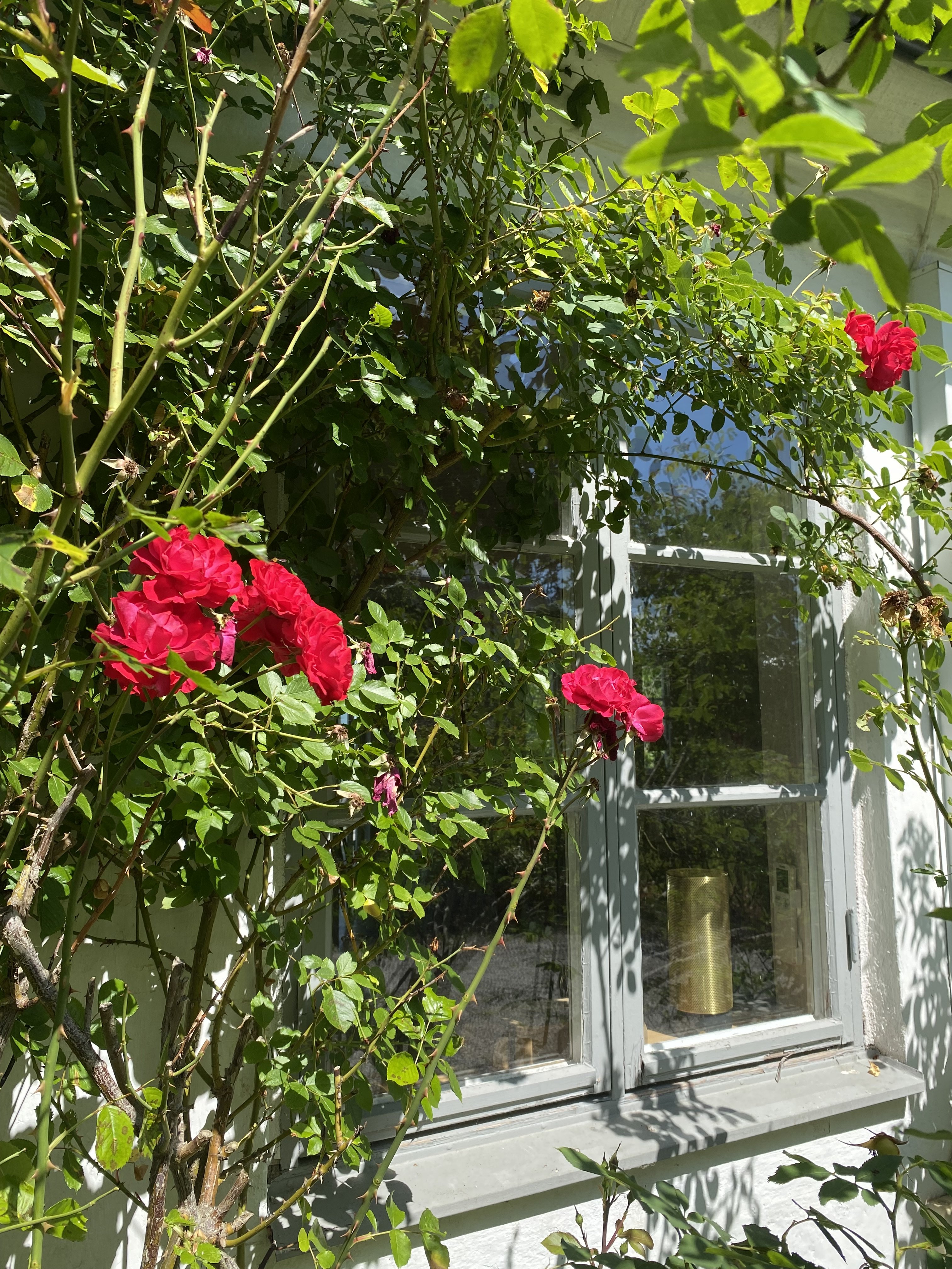 Villa/Hus, 7 rooms, 210 sqm, Kivik – bild 17