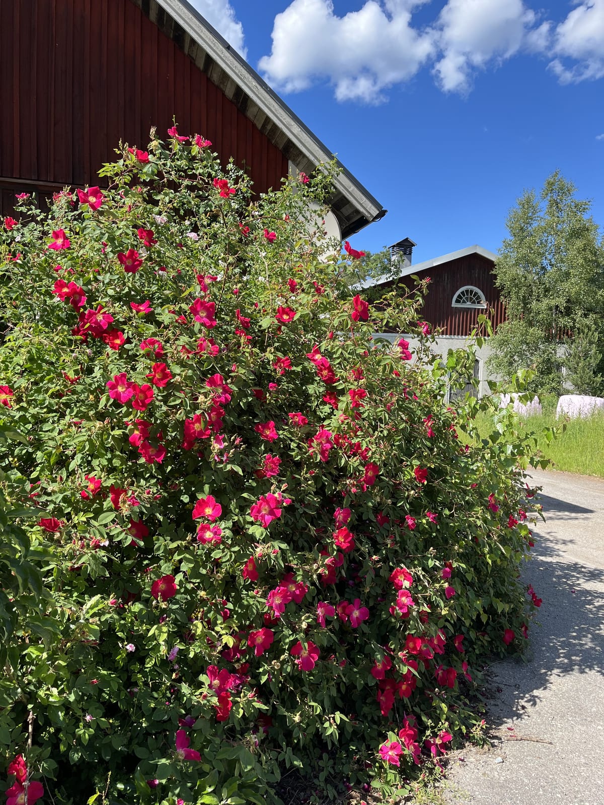 4 rok · 100 m² i Färentuna – bild 14