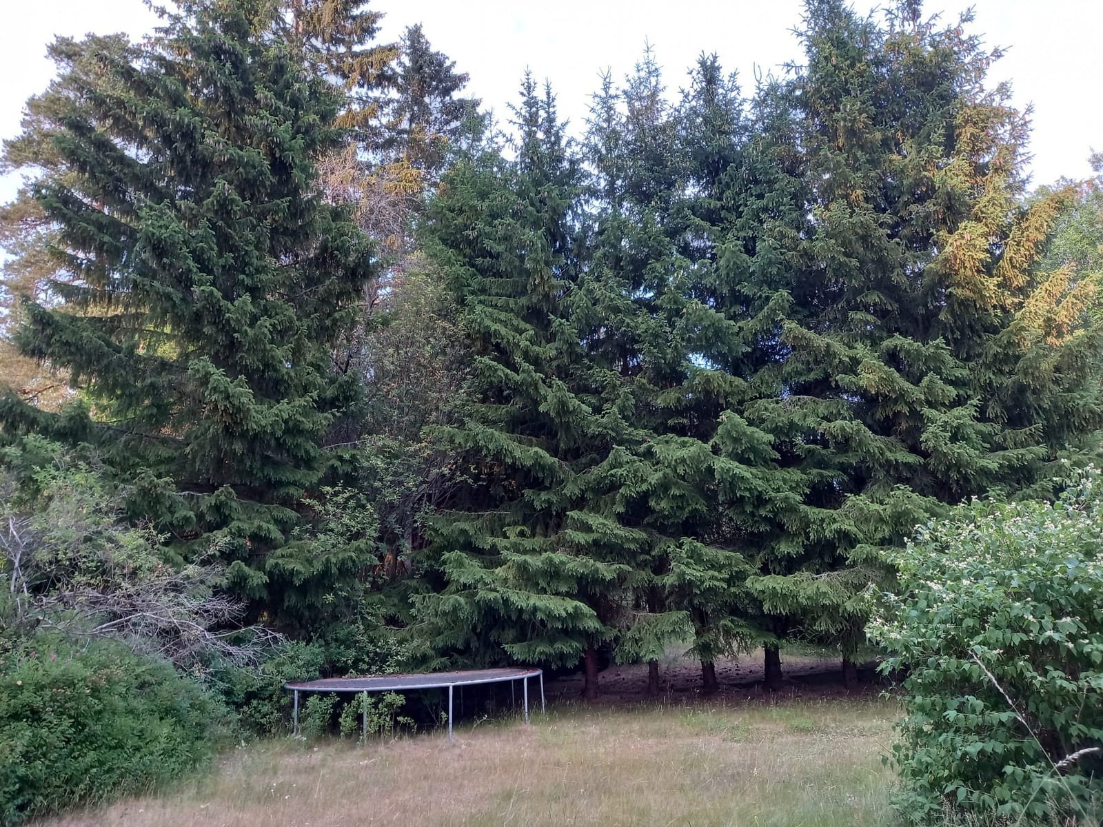 5 rok · 120 m² i Hallstavik – bild 6