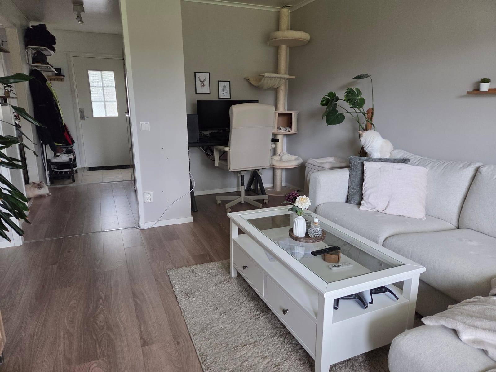 2 rok · 46 m² i Hillared – bild 10