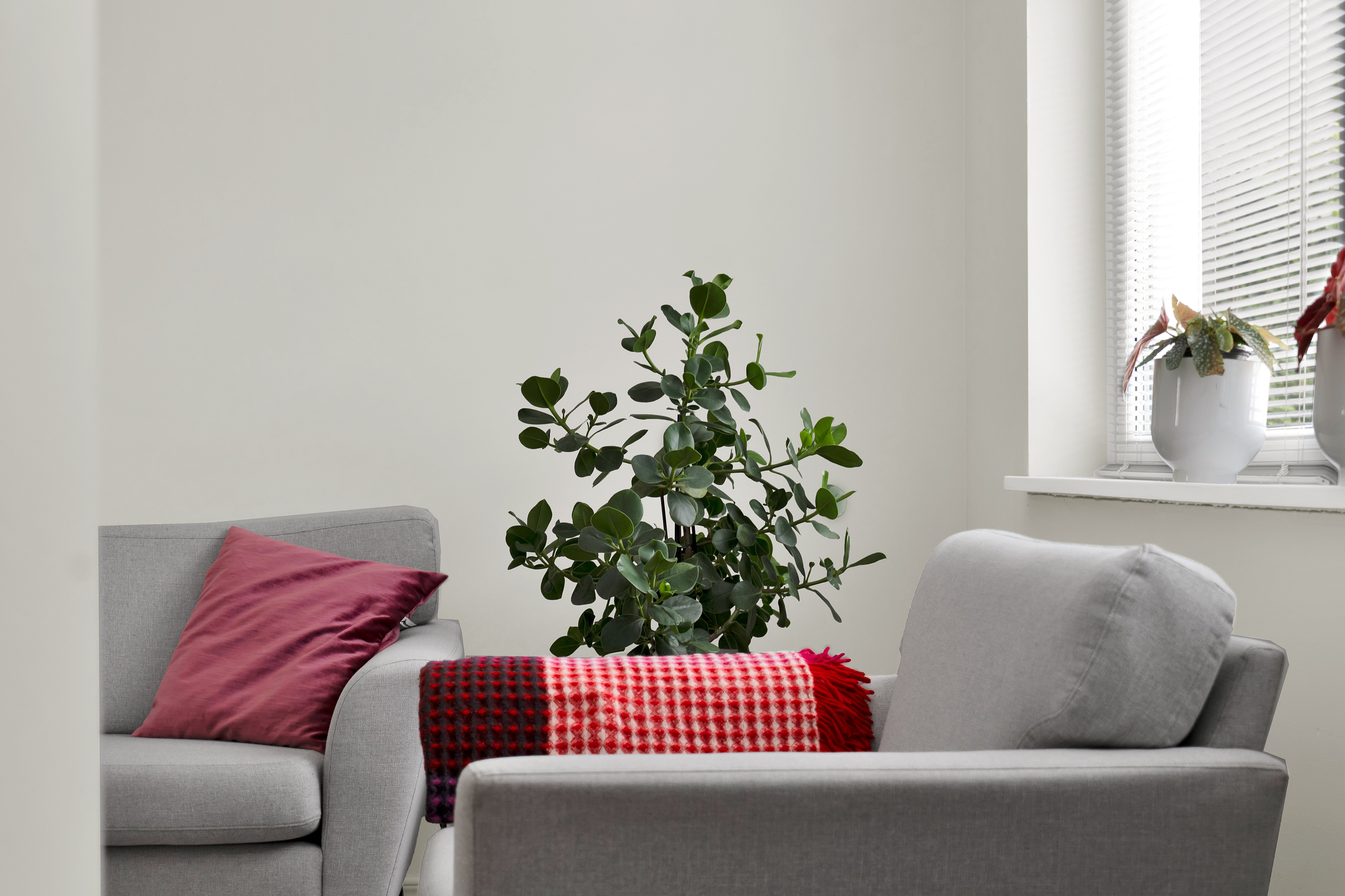 Villa/Hus, 3 rooms, 75 sqm, Sundbyberg – bild 30