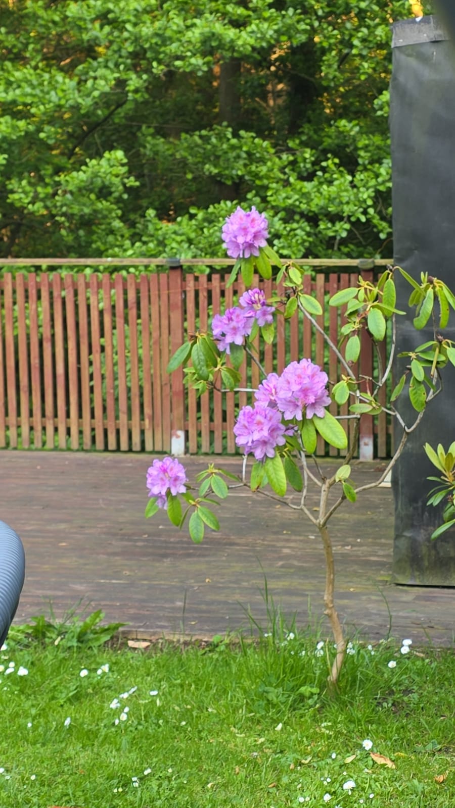 4 rok · 140 m² i Angered – bild 8
