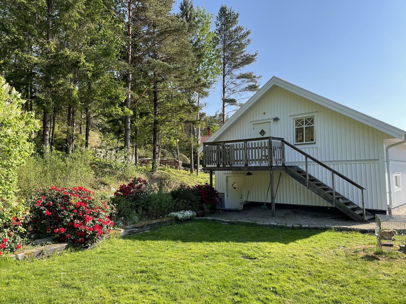 1 rok · 50 m² i Kode – Kode