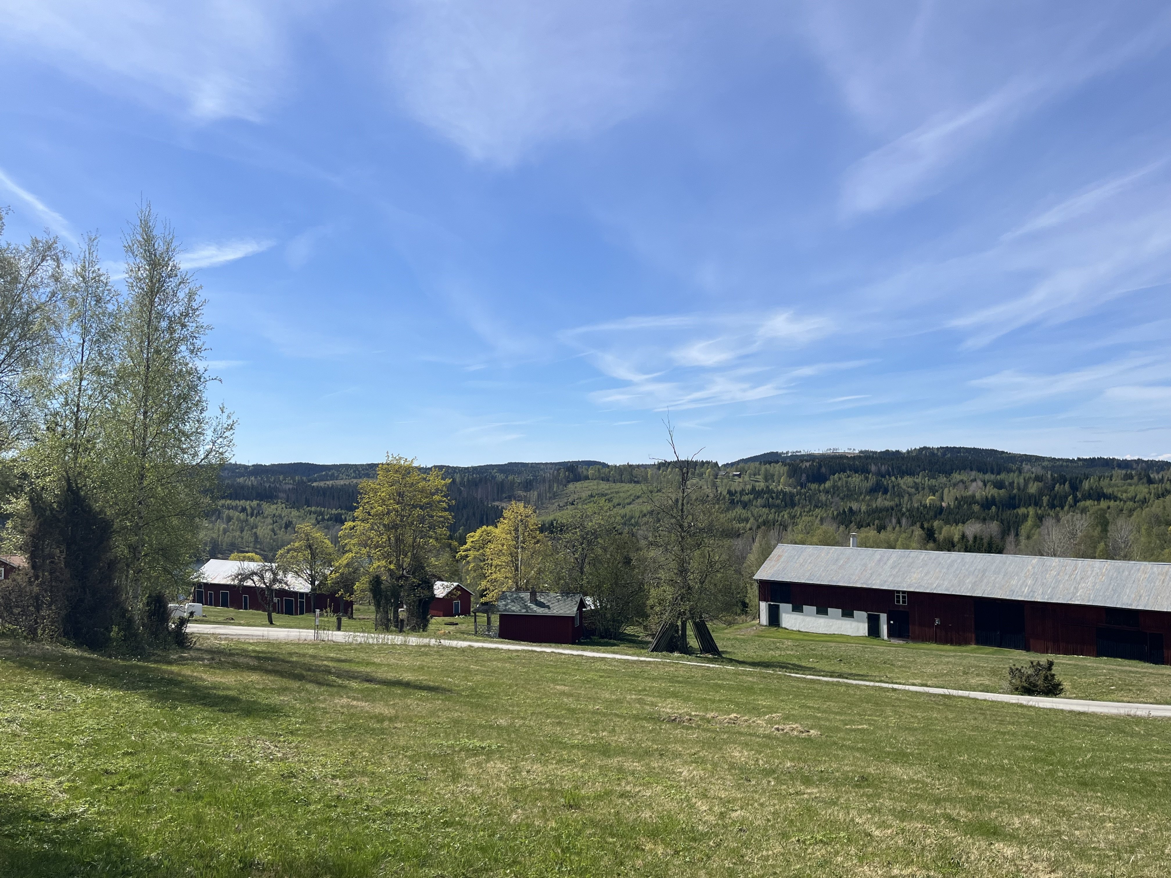 Stuga, 3 rooms, 70 sqm, Gräsmark – bild 8