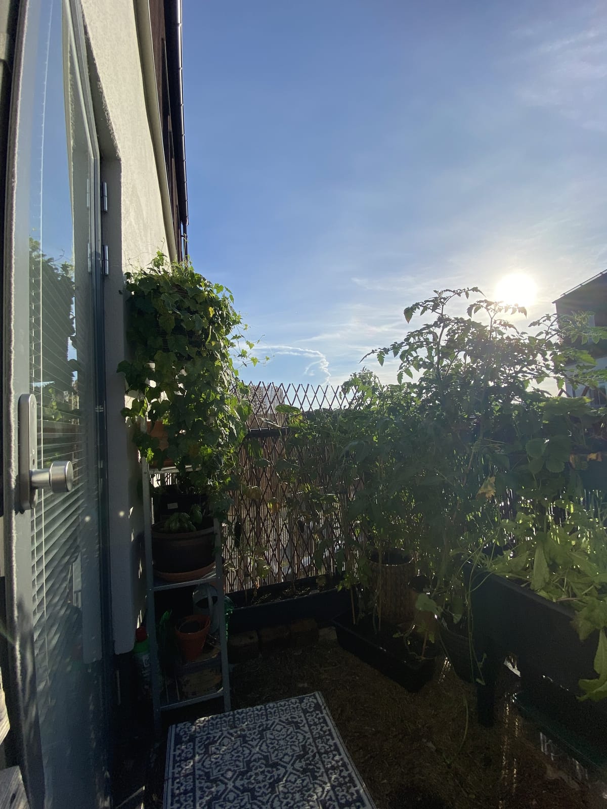 1 rok · 29 m² i Bro – bild 9