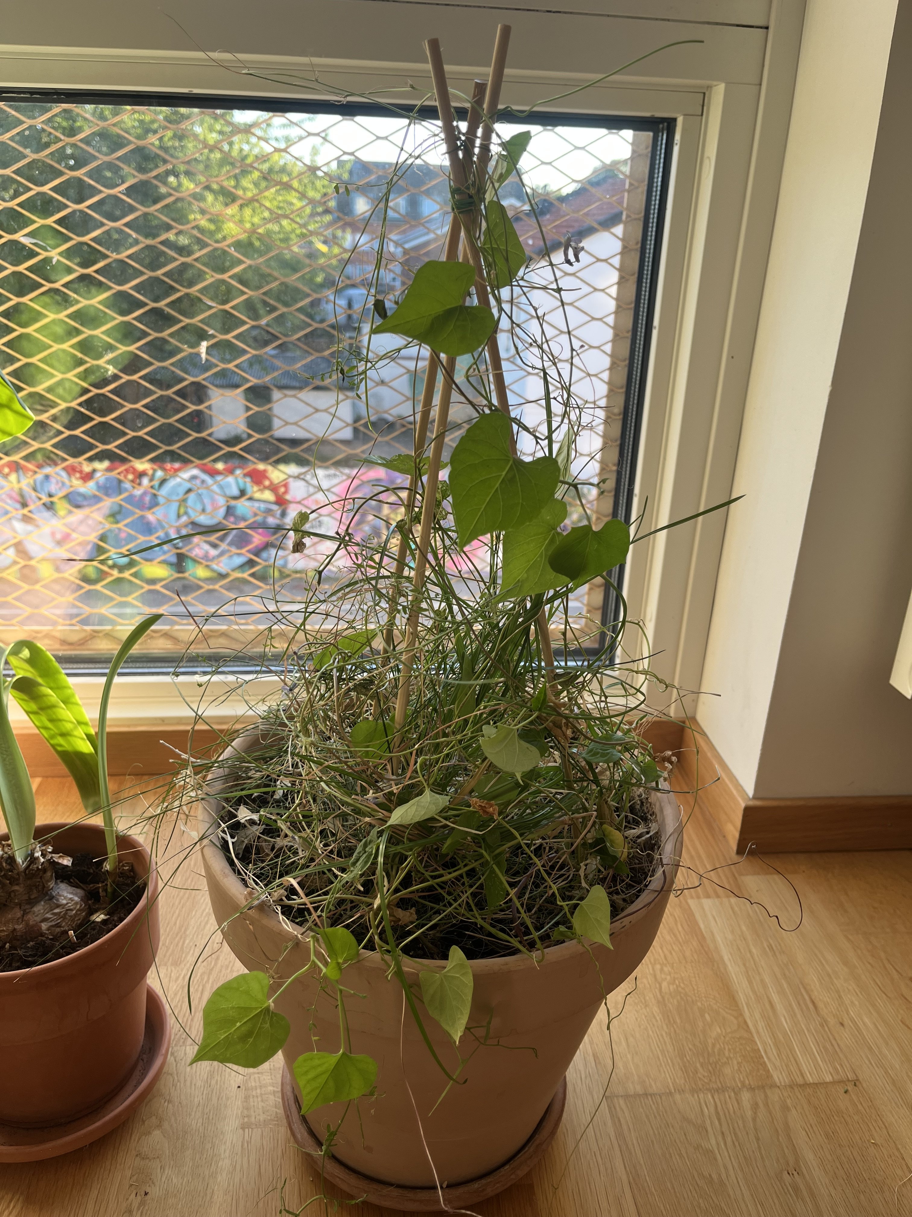 Lägenhet, 4 rooms, 72 sqm, Malmö – bild 4