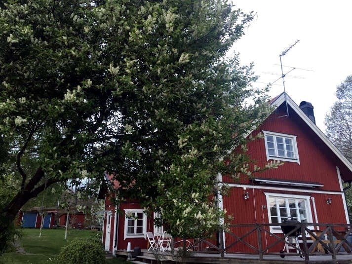 3 rok · 100 m² i Norrtälje – bild 9