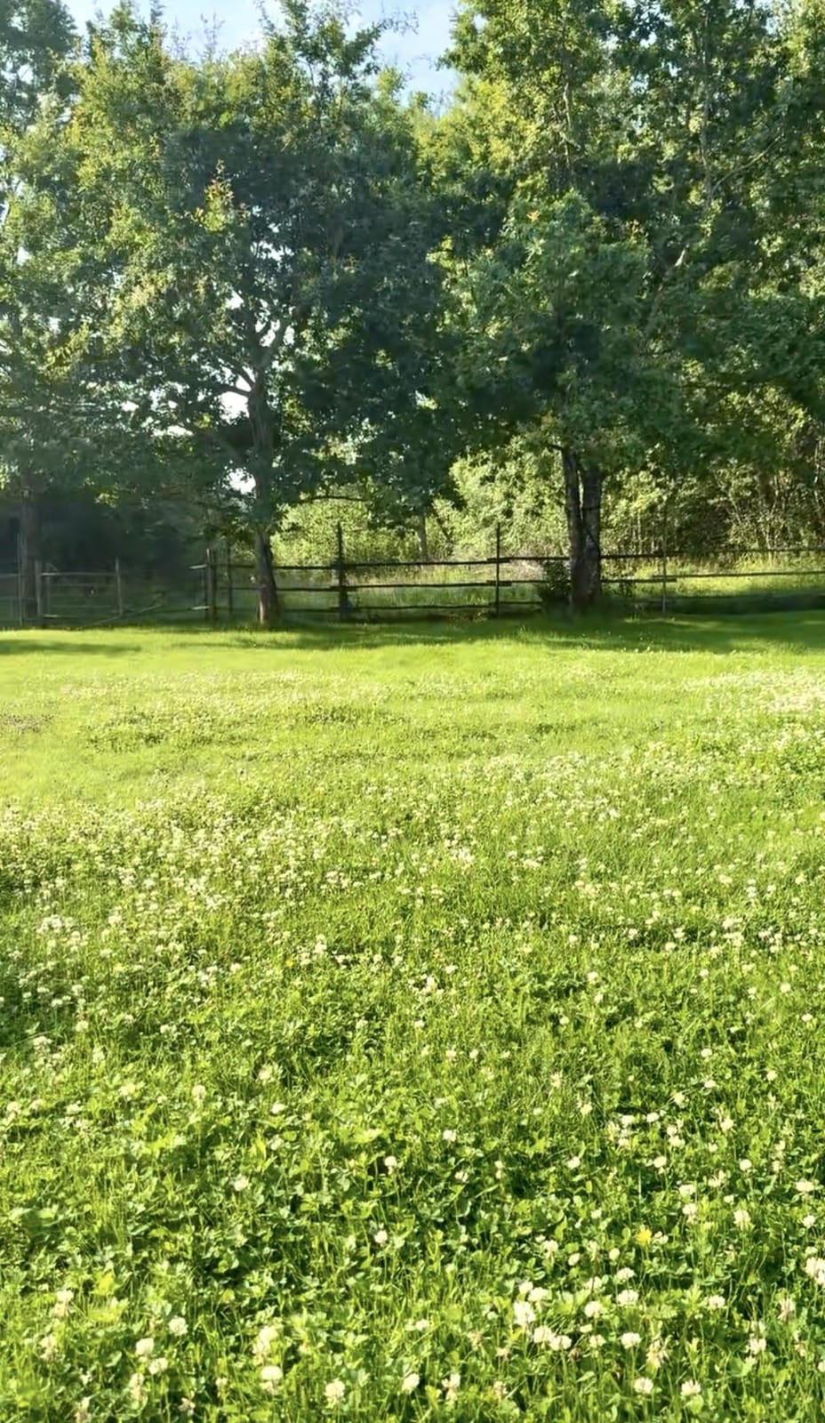 8 rok · 220 m² i Torshälla – bild 23