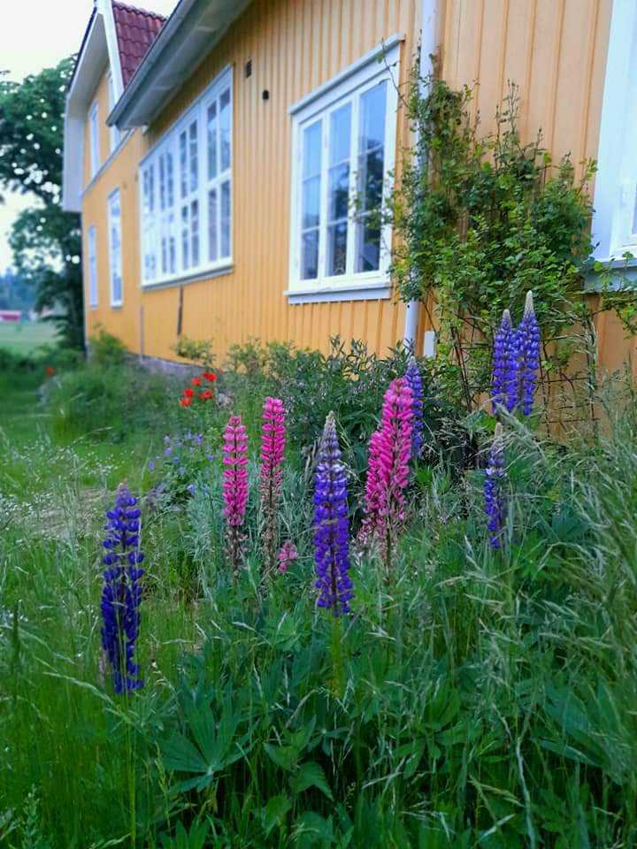 Lägenhet, 3 rooms, 75 sqm, Fjällbacka – bild 38
