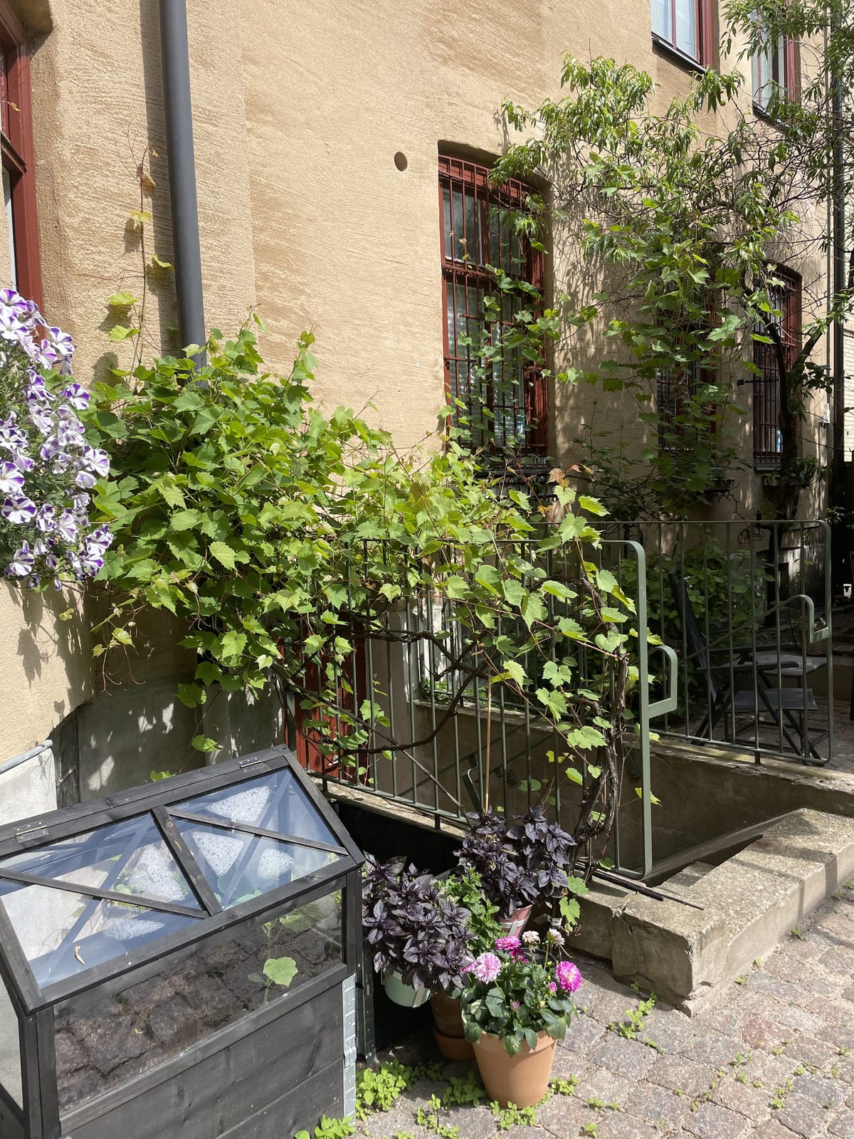 1 rok · 16 m² i Malmö – bild 22