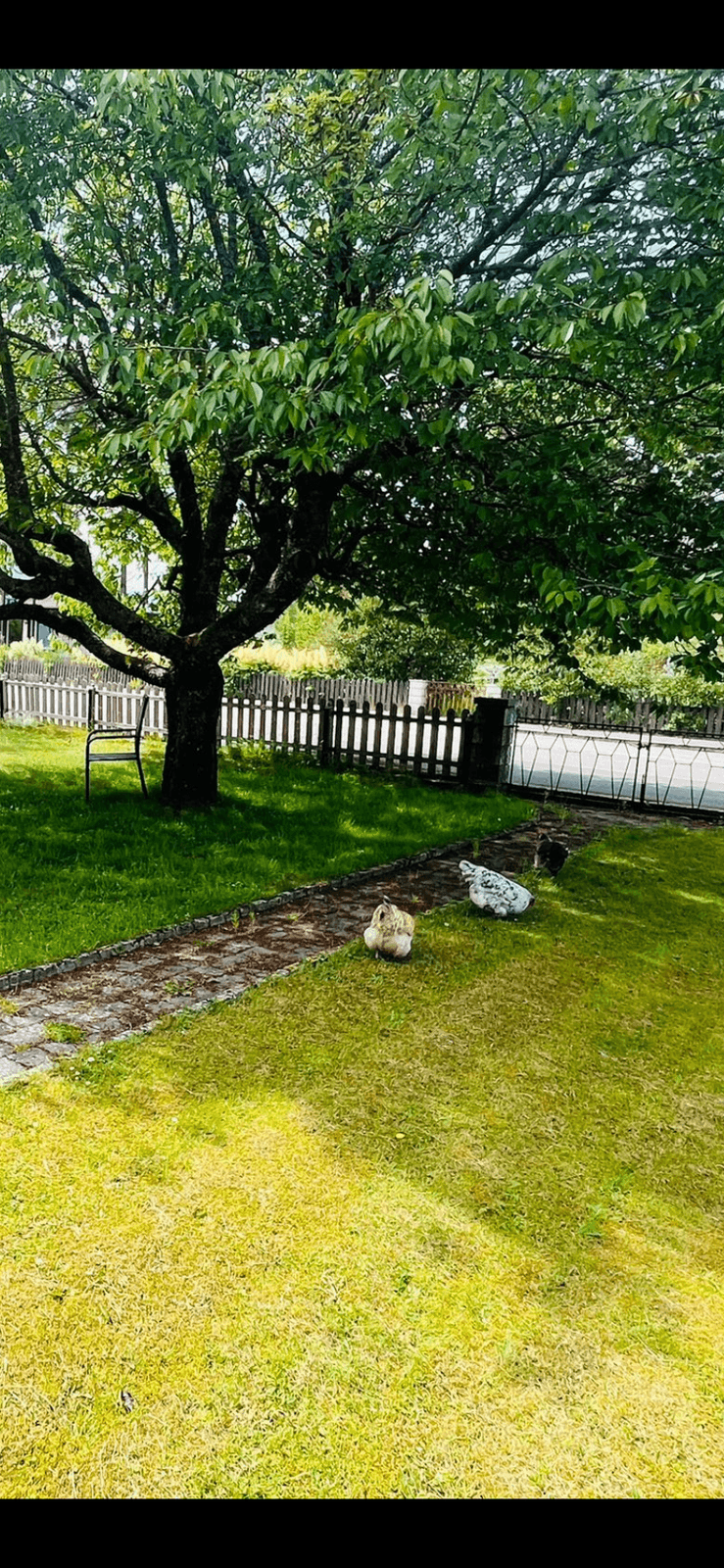 3 rok · 87 m² i Bankeryd – bild 7