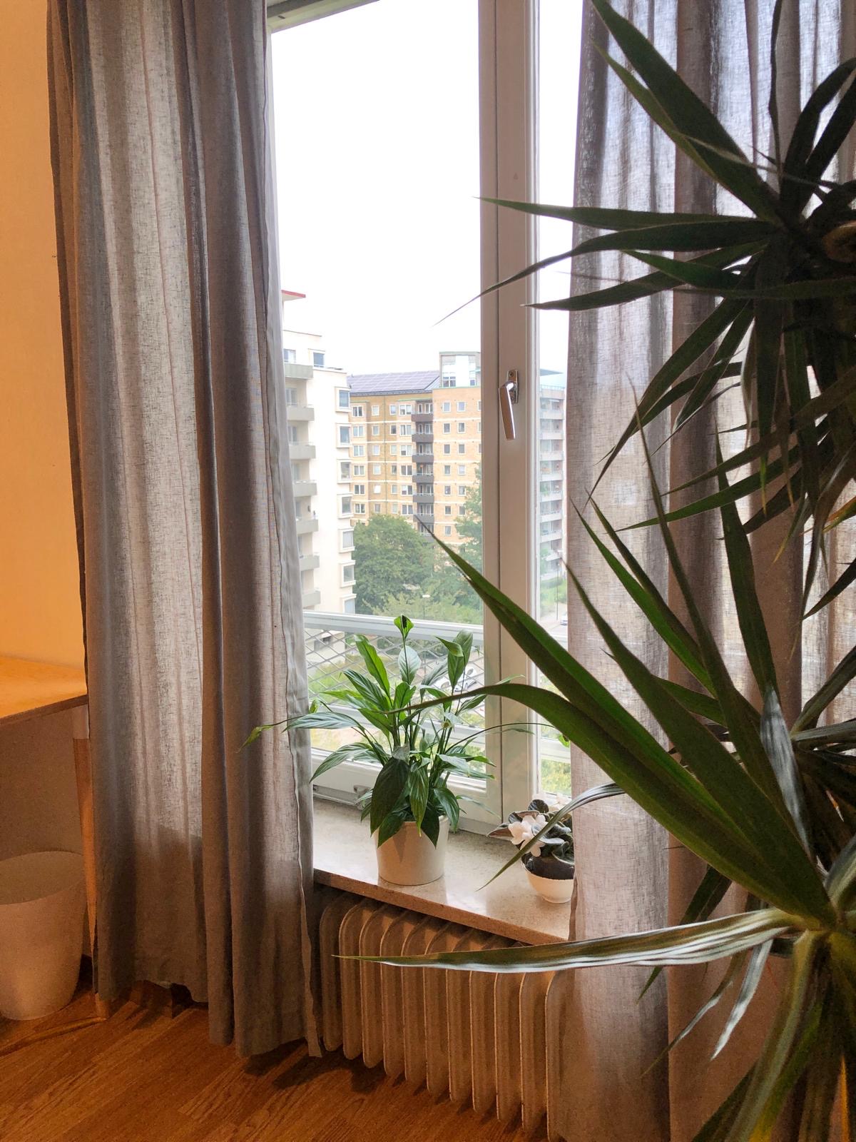 1 rok · 15 m² i Malmö – bild 6