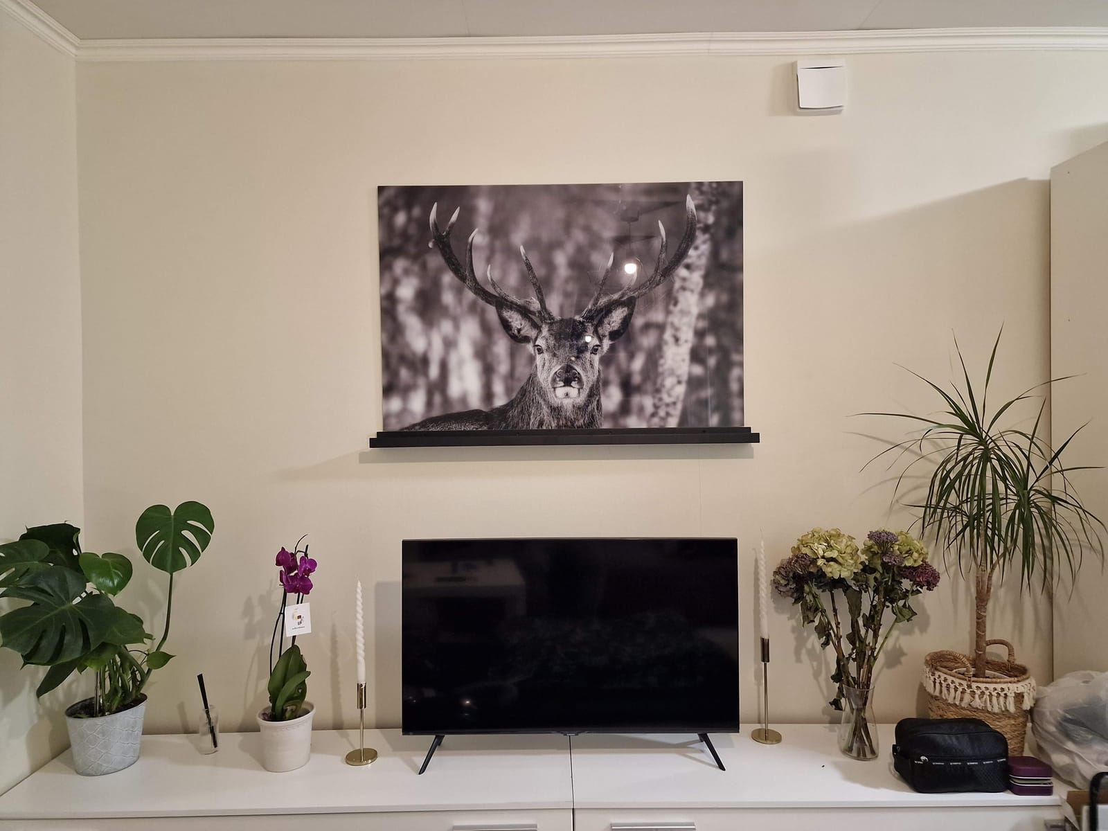 2 rok · 50 m² i Sollentuna – bild 8