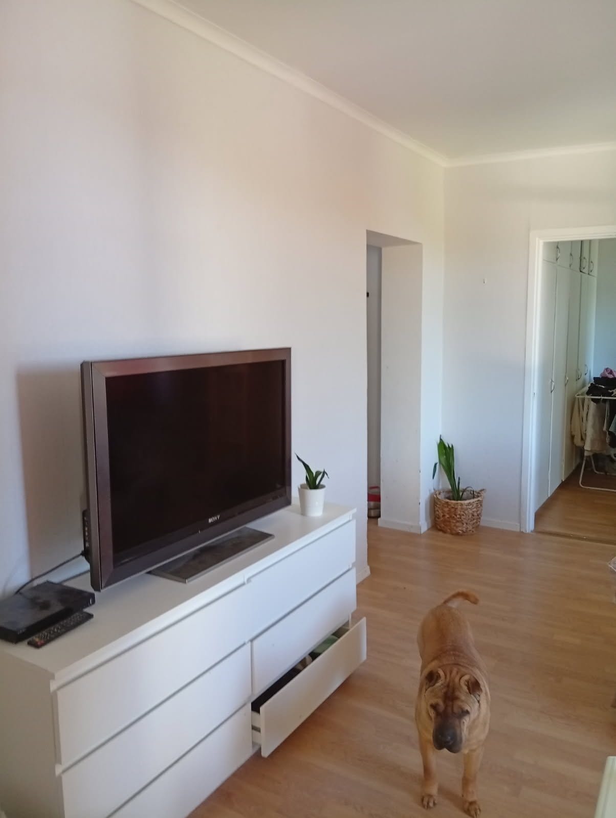 3 rok · 62 m² i Högsby – bild 3