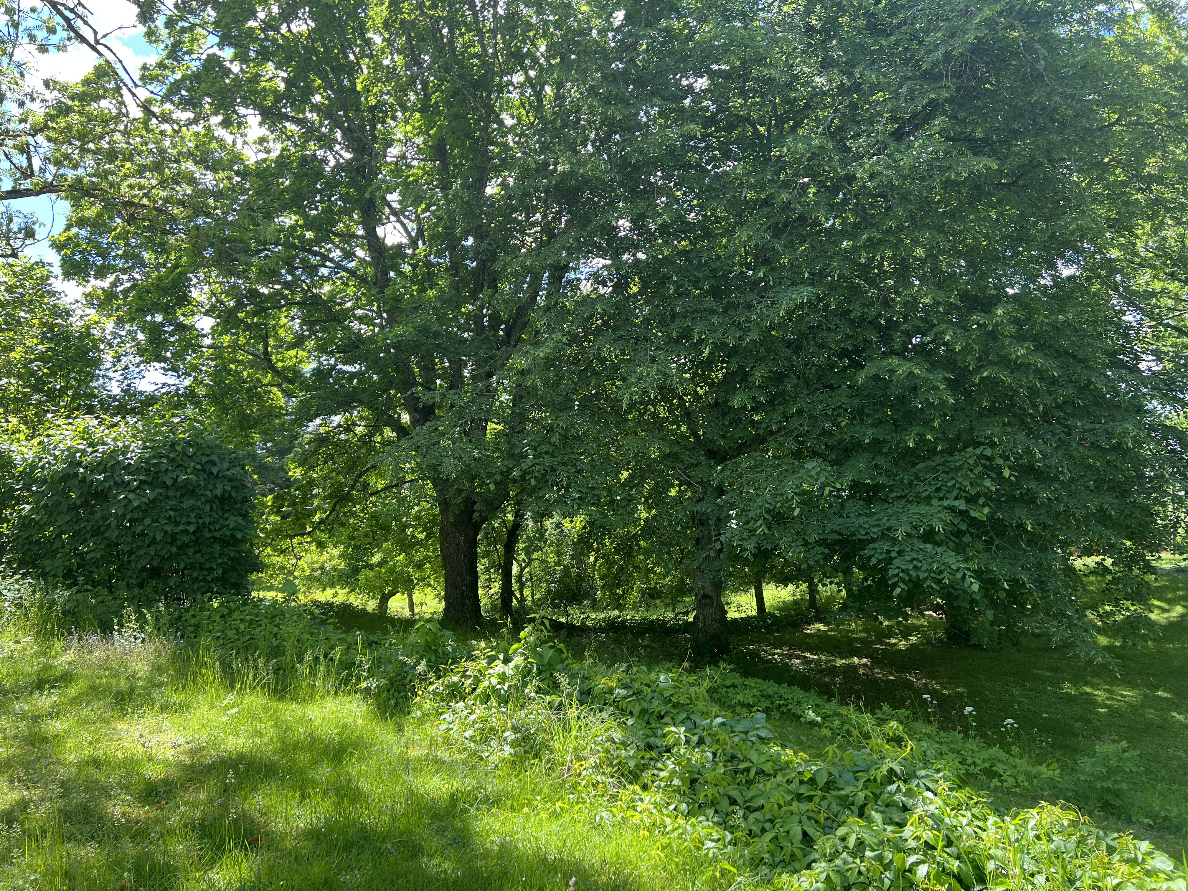 Villa/Hus, 9 rooms, 400 sqm, Sörmland – bild 14