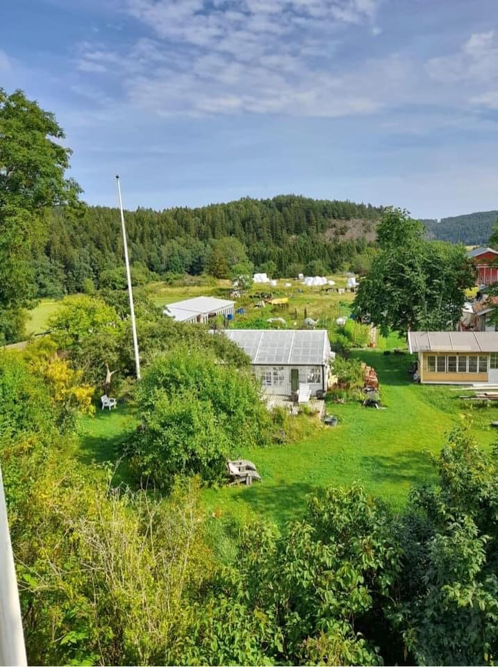 Lägenhet, 2 rooms, 60 sqm, Fjällbacka – bild 15